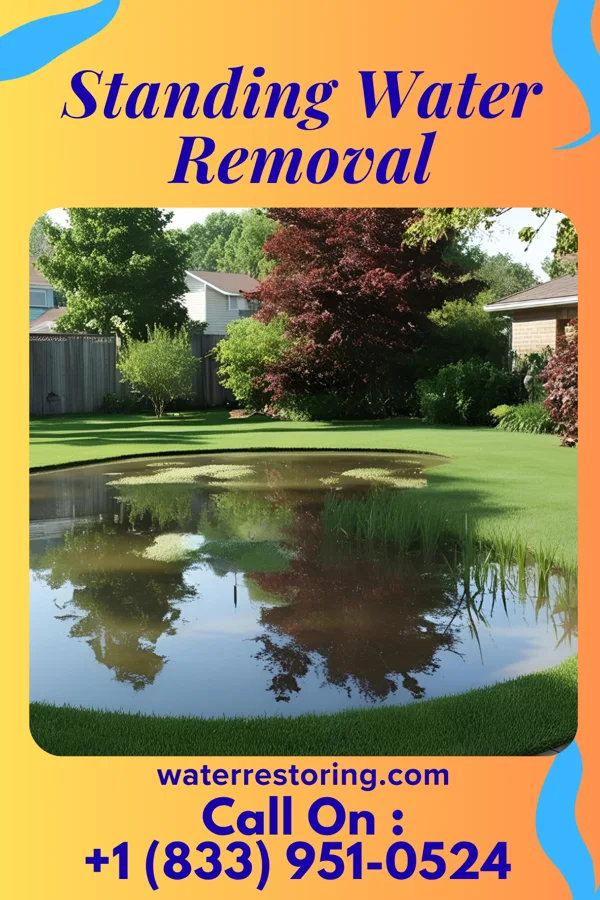 Standing Water Removal in Edgar Springs, MO